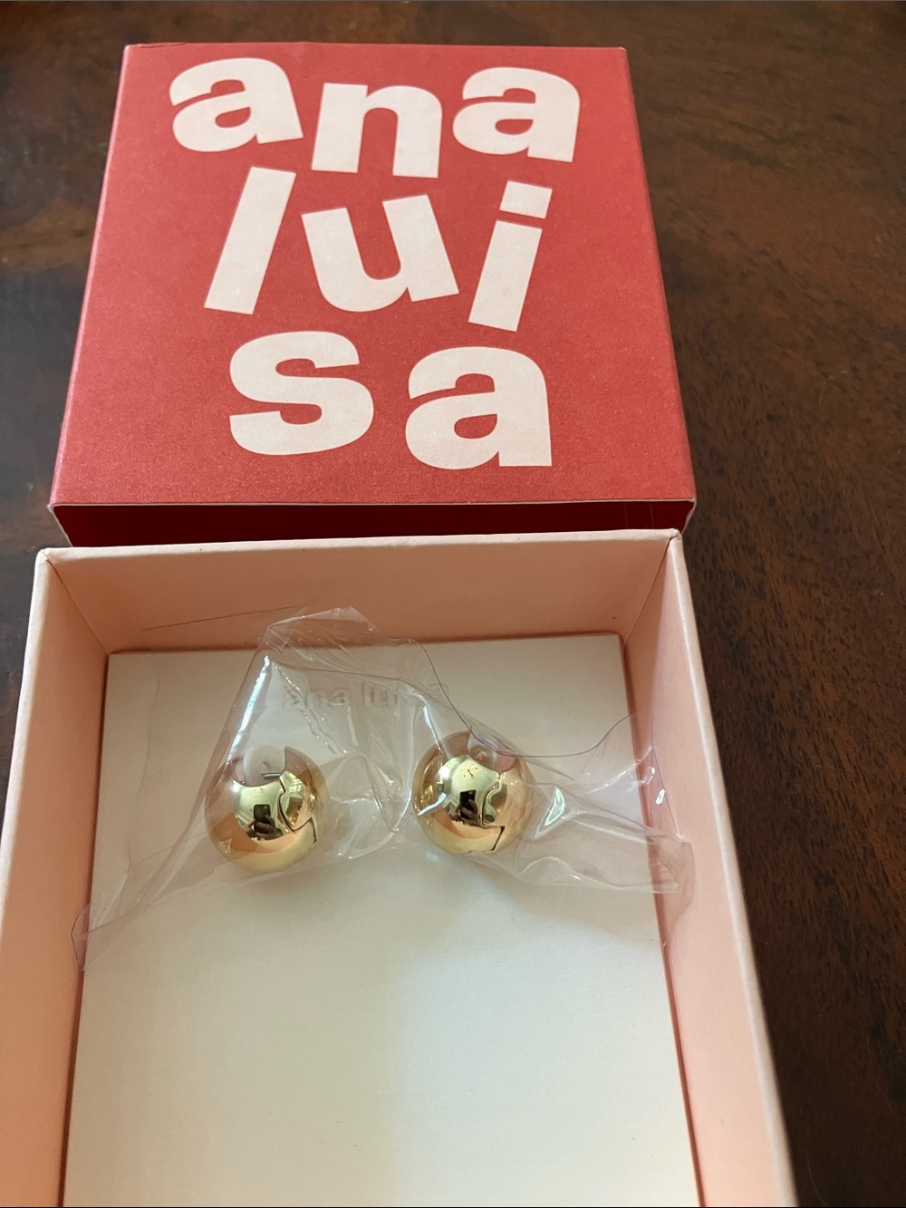 Ana Luisa Earrings